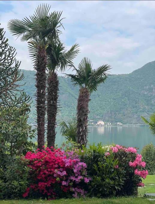 Appartamento Con Piscina E Sauna Bissone Exterior photo